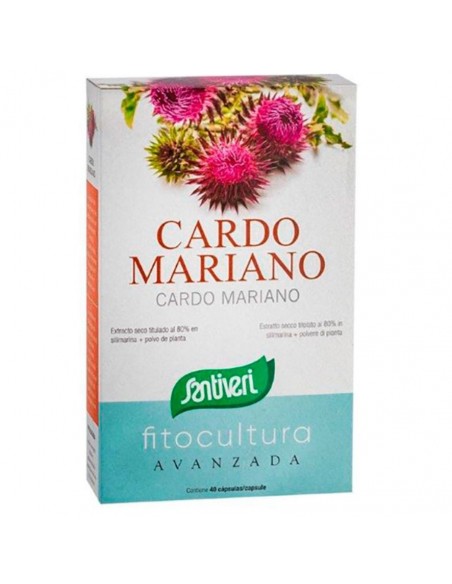  Cardo Mariano 40Cap. Santiveri