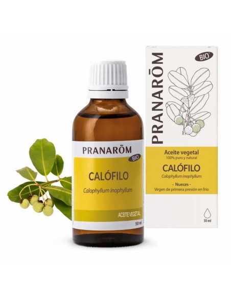 Calofilo Aceite Vegetal Bio 50Ml. Pranarom