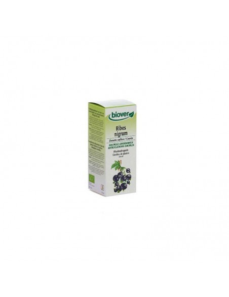 Ext. Ribes Nigrum (Grosellero Negro) 50 Ml. Biover